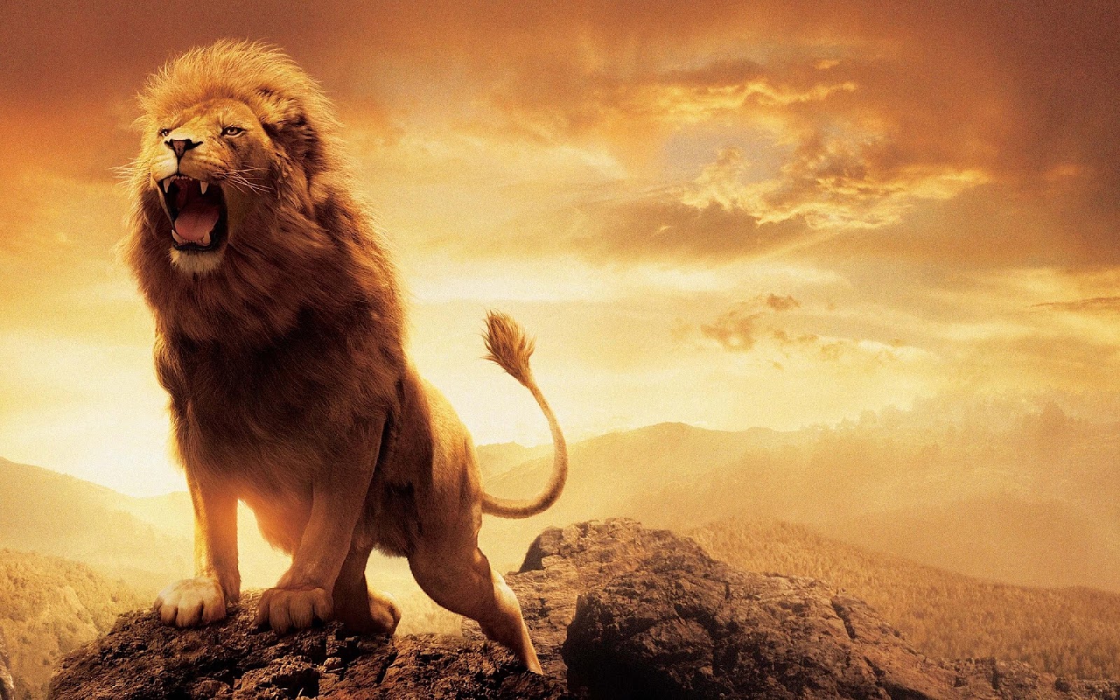 Nằm mơ thấy con sư tử đánh con gì phát tài?